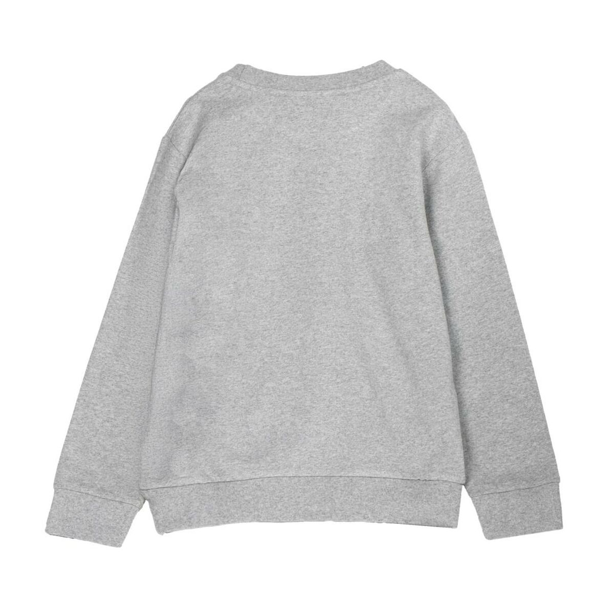 Sweaters uden Hætte Toy Story Grå
